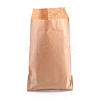 Eco-Friendly Kraft Paper Bags CARB-I001-05-2
