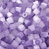 Glass Seed Beads SEED-H002-D-A815-3