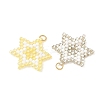 Glass Seed Beads Pendants PALLOY-MZ01457-2