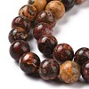 Natural Red Leopard Skin Jasper Beads Strands GSR066-3