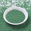 MIYUKI Round Rocailles Beads SEED-X0054-RR0411FR-3