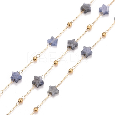 Ion Plating(IP) 304 Stainless Steel Satellite Chains CHS-G019-01G-11-1