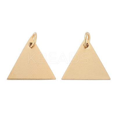 304 Stainless Steel Stamping Blank Tag Charms LS-STAS-I311-29G-1