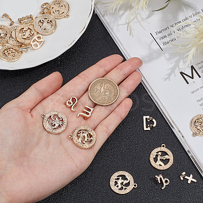 2 Bags 2 Style Alloy Pendants PALLOY-AR0001-23-1