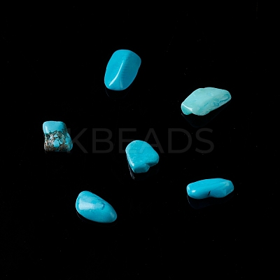 Natural Magnesite Chip Beads G-M364-09A-1