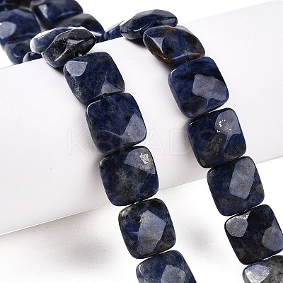 Natural Sodalite Beads Strands G-T138-169-1