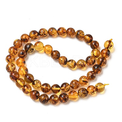 Natural Amber Beads Strands G-L095-B01-8mm-04-1