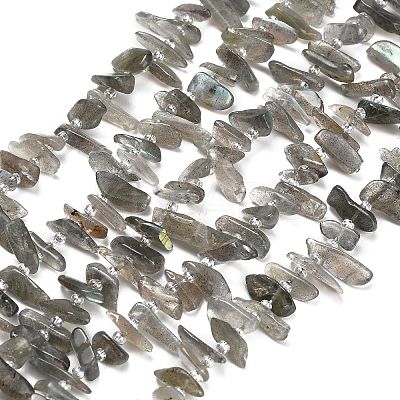 Natural Labradorite Beads Strands G-Z124-C01-01-1