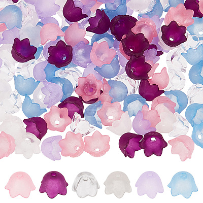 600Pcs 6 Colors Transparent Acrylic Beads & Bead Caps TACR-SC0001-16-1
