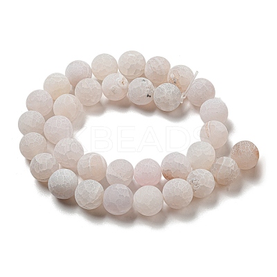 Natural Weathered Agate Beads Strands G-P538-A01-14-1