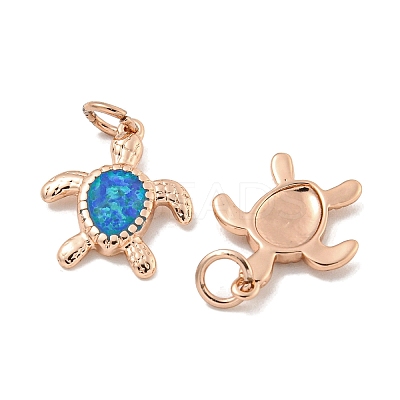 Synthetic Opal Pendants KK-E114-03RG-1