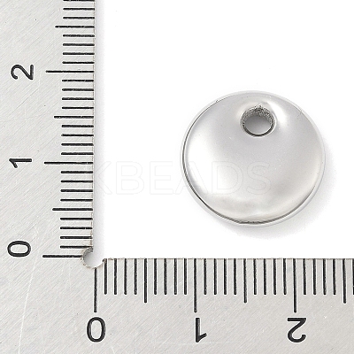 304 Stainless Steel Pendants STAS-R162-02P-03-1
