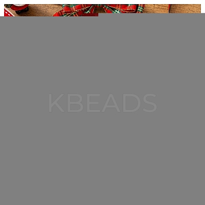 Polyester Ribbon OCOR-WH20816-009A-1
