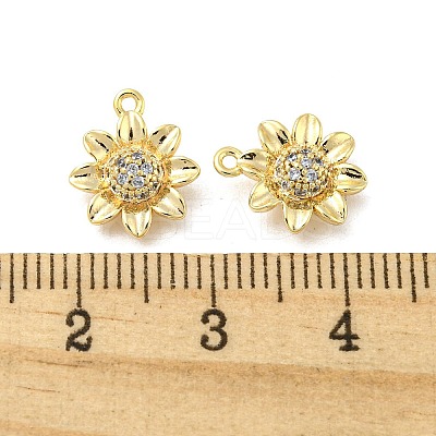 Brass Micro Pave Clear Cubic Zirconia Charms KK-H460-24G-1