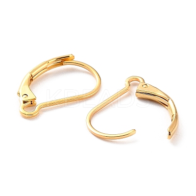 Ion Plating(IP) 304 Stainless Steel Leverback Earring Findings LS-STAS-K233-04G-01-1