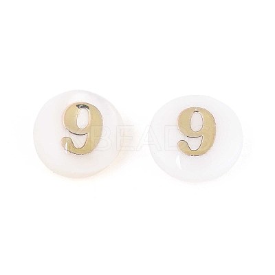 Natural Freshwater Shell Beads SHEL-N003-20-09-1