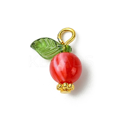 Acrylic Pendants PALLOY-JF02615-03-1