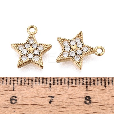 304 Stainless Steel Micro Pave Cubic Zirconia Charms STAS-N115-52G-1