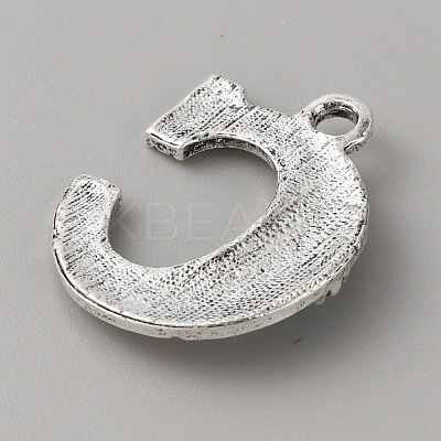 Alloy with Resin Imitation Synthetic Turquoise Pendants FIND-TAC0017-37C-1