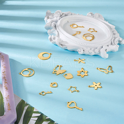 24Pcs 12 Style Stainless Steel Charms STAS-FW0001-30-1