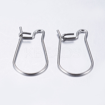 Tarnish Resistant 304 Stainless Steel Hoop Earrings LS-STAS-L198-15B-P-1