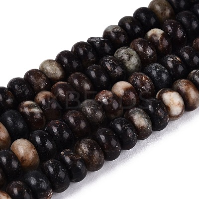 Natural Biotite Beads Strands G-N367-02A-15-1