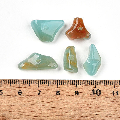 Transparent Acrylic Beads TACR-T028-37I-1