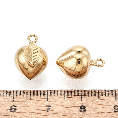 304 Stainless Steel Charms STAS-T067-93G-1