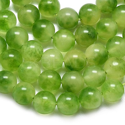 Natural Malaysia Jade Beads Strands G-L645-C01-12mm-31-1