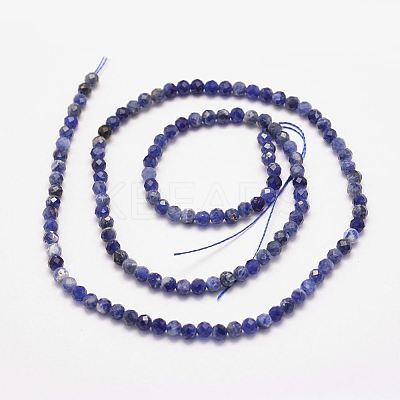 Natural Sodalite Bead Strands X-G-P279-58-3mm-1