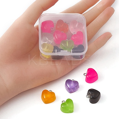 15Pcs Transparent Resin Pendants RESI-YW0001-45-1