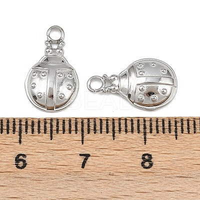 304 Stainless Steel Charms STAS-H242-01P-06-1