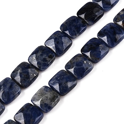 Natural Sodalite Beads Strands G-T138-169-1