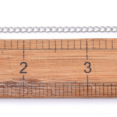 Non-Tarnish 3.28 Feet 304 Stainless Steel Curb Chains X-CHS-F006-04A-P-1