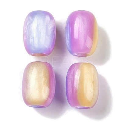 Triple Color Resin European Beads RESI-F055-13I-1