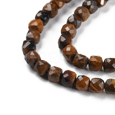 Natural Tiger Eye Beads Strands G-P500-02A-02-1