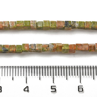 Natural Unakite Beads Strands G-B064-A10-1