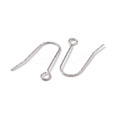 Tarnish Resistant 316 Stainless Steel Earring Hooks X-STAS-C059-10P-1