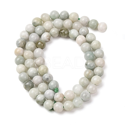 Natural Myanmar Jade/Burmese Jade Beads Strands G-D0001-08-6mm-01-1