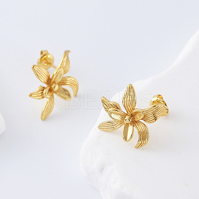 304 Stainless Steel Stud Earrings for Women DB8476-1