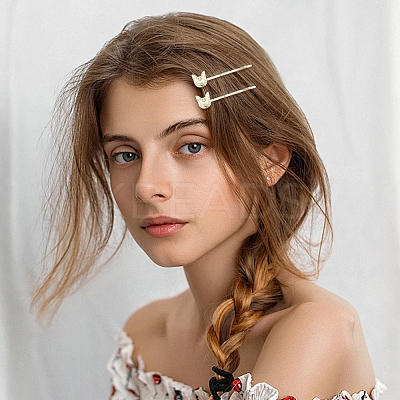 6 Bags 6 Styles Zinc Alloy Hair Bobby Pins PHAR-SP0001-01A-1