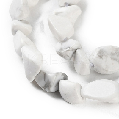 Natural Howlite Beads Strands G-P497-01C-64-1