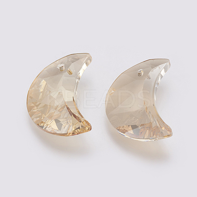 K9 Glass Rhinestone Pendants GLAA-K034-G01-1