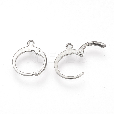 Tarnish Resistant 304 Stainless Steel Leverback Earring Findings STAS-S073-01-1