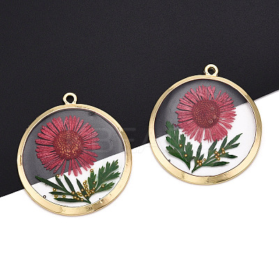 Alloy Epoxy Resin Pendants X1-PALLOY-TAC0044-82-1