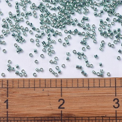 MIYUKI Delica Beads X-SEED-J020-DB0416-1
