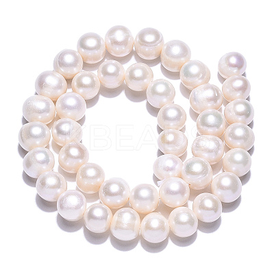 Natural Cultured Freshwater Pearl Beads Strands PEAR-N013-10E-1