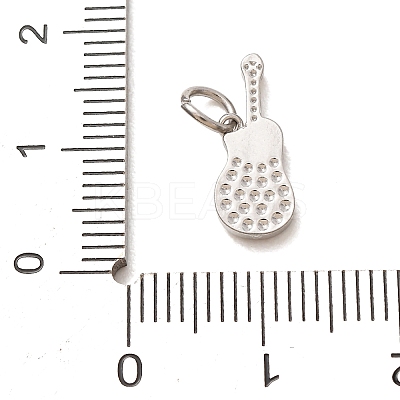 304 Stainless Steel Micro Pave Clear Cubic Zirconia Charms LS-CU-CBAB6EC-21P-1