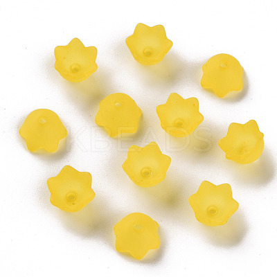 Transparent Acrylic Beads Caps PL543-2-1
