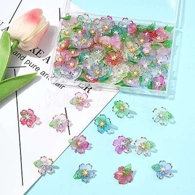 70Pcs Transparent Acrylic Pendants PALLOY-FS00050-1